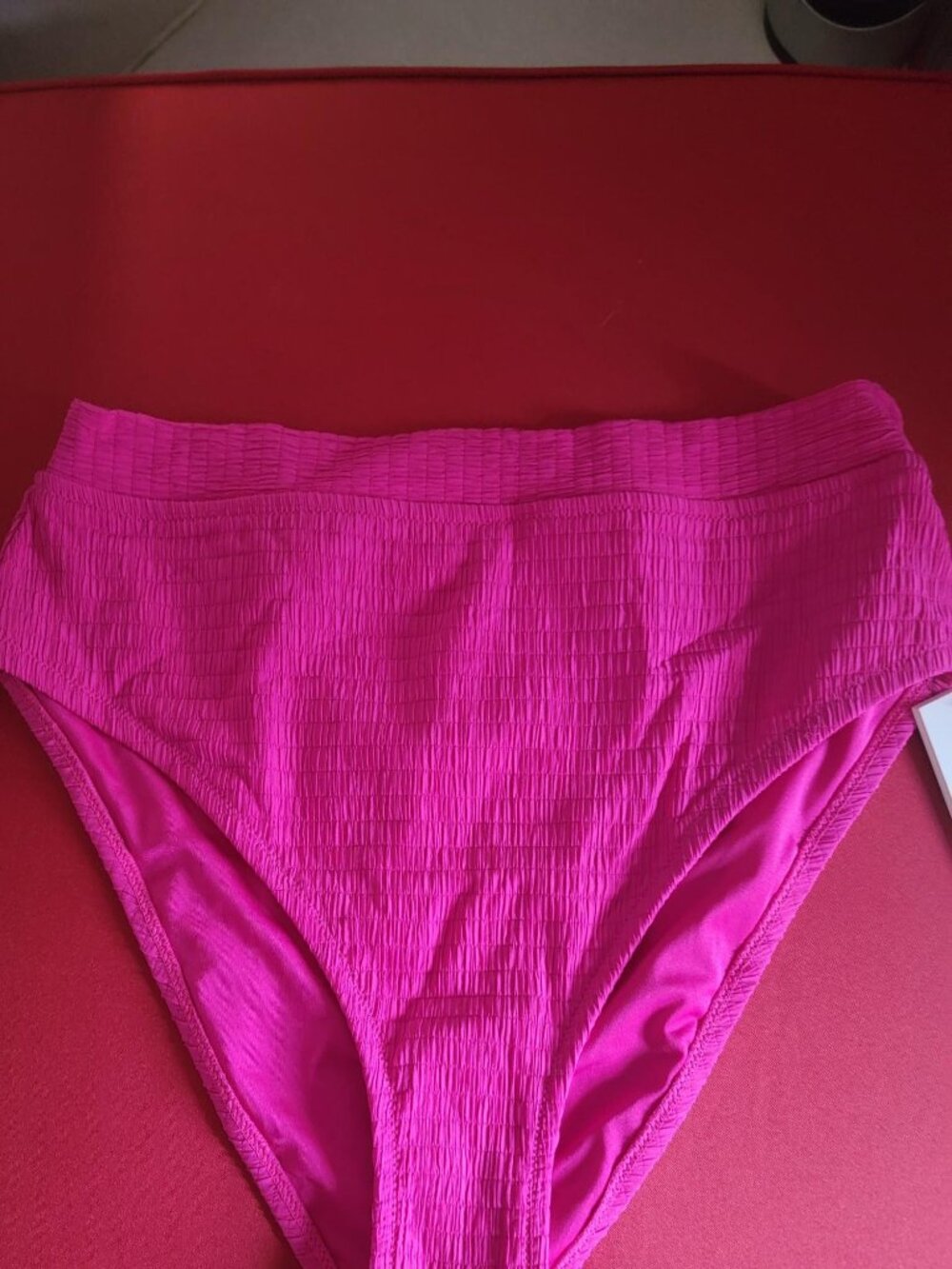 DKNY Swim Bikini Bottoms NWT Hot Pink Tummy Control UPF 40+ Large